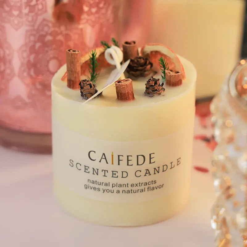 Decorative Wax Gifts Natural Plant Top 10 luxury candle companies in 2025 USA