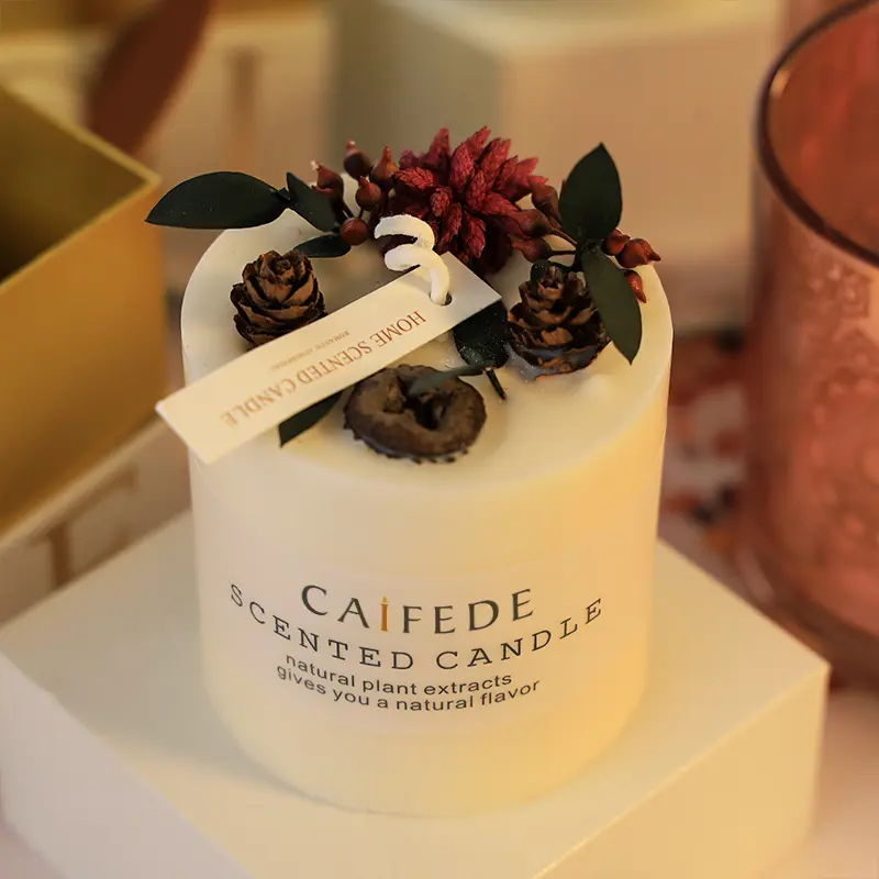 Decorative Wax Gifts Natural Plant Top 10 luxury candle companies in 2025 USA